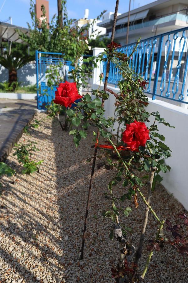 Traditional Town Garden Apartment Rhodes City Екстер'єр фото